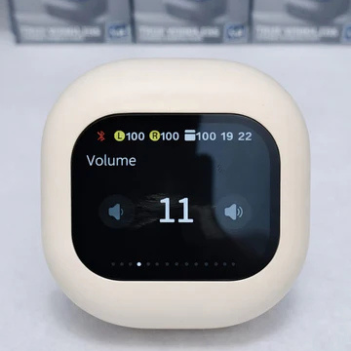X63 TRUE WIRELESS EARHOOK EARBUDS