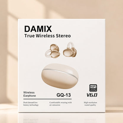 DAMIX GG-13 True Wireless Stereo Earbuds